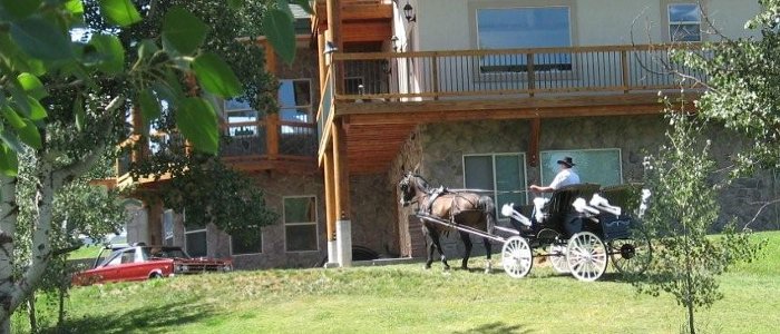 Wedding Carriage